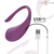 VIBRACIJSKI JAJČEK Intense Olivia Purple