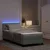 Vidaxl LED Box Spring Postelja z LED Svetlo siva 90 x 200 cm Žamet