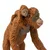 Safari Orangutan z mladičem