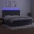 Vidaxl Box spring postelja z vzmetnico LED temno siva 200x200 cm žamet