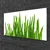 tulup.si Steklena slika Grass on wall 120x60 cm 2 obešalnika