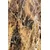 Conceptum Hypnose tepih Hmnt123, 80x150cm, šareni