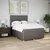 Vidaxl Box spring postelja z vzmetnico taupe 160x200 cm blago