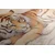 Slika zasanjani tiger - 100x150