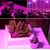 LED žarnica za rastline 150LED MDA-PG01 100W