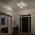 Elstead Lighting STROPNA SVETILKA