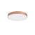 Brilagi - LED plafonsko svetlo POOL LED/60W/230V 3000/4000/6000K O 60 cm bronzana