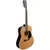 VESTON D-40SP Nat akustična kitara