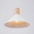 Sollux SL.1319 - Luster na sajli JAGA 1xE27/15W/230V prečnik 30 cm bela