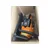 VILLAGER VGS 560 S Motorna testera OUTLET