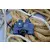 Daljnogled BRESSER Topas 7x50 WP/Kompass(250202)