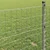 Vidaxl Evropska ograja 0,8 x 25 m PVC prevlečen železo