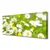 tulup.si Slika na platnu Daisy flower rastlin 125x50 cm