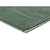 Zelena preproga 160x230 cm Edesa – Universal