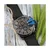 Diesel ty187900 Modra