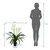 MID.YOU Umetna Rastlina Agapanthus