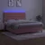Vidaxl Box spring postelja z vzmetnico LED roza 160x200 cm žamet