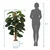 MID.YOU Umetna Rastlina Epipremnum