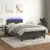 Vidaxl Box spring postelja z vzmetnico LED temno siva 120x200 cm žamet