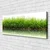 tulup.si Slika na platnu Grass nature rastlin 120x60 cm