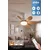 Simbo Plafonski ventilator, Hrast