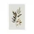 Plakat luksuzni minimalistični listi - 60x90 silver