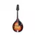 FLIGHT TERRIS M10 mandolina ,VS
