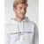 Tommy Hilfiger  TOMMY LOGO HOODY  Bela