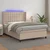 Vidaxl Box spring postelja z vzmetnico LED kapučino 140x190 cm