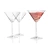Leonardo casa Daily 270 ml