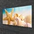 tulup.si Steklena slika Starfish shell art 125x50 cm 2 obešalnika