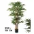 Lilium Bambus stablo 165cm, 850 listova, 567337