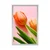 Plakat tulipan - 30x45 no frame