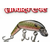P-LINE Shallow Diving Engry Eye 17cm