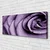 tulup.si Slika na platnu Rose flower rastlin 120x60 cm