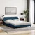 Vidaxl Postelja z vzmetnico Dover modra 160x200 cm blago