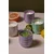 Sojina sveča Paddywax Lustre 283 g