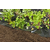 Folija za jagode 10x1.5m crna Windhager
