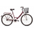 CAPRIOLO Paris Lady 26 bordo