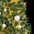 Umjetno božićno drvce 300 LED s kuglicama i snijegom 210 cm