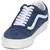 Vans Old Skool pisana