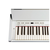 ROLAND digitalni pianino F130WH, bel