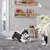 Pasji medvedek Gustaw Husky 70 cm