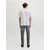 JJ Rebel by Jack & Jones farmerke Adam za muškarce, sive, 31/30