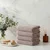 Central - Brown Brown Hand Towel Set (4 Pieces)