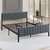Hanah Home Francuski ležaj Lotus, 160x88x200 cm, Antracit