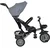 Cangaroo tricikl explore dark grey ( can32016 )