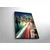 Zidna slika sa LED osvetljenjem 4570IACT-22, 45x70 cm