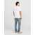 JACK & JONES Muške farmerke 12268258, Plave