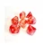 Kockice Chessex - Nebula - Luminary - Red & Silver (7)